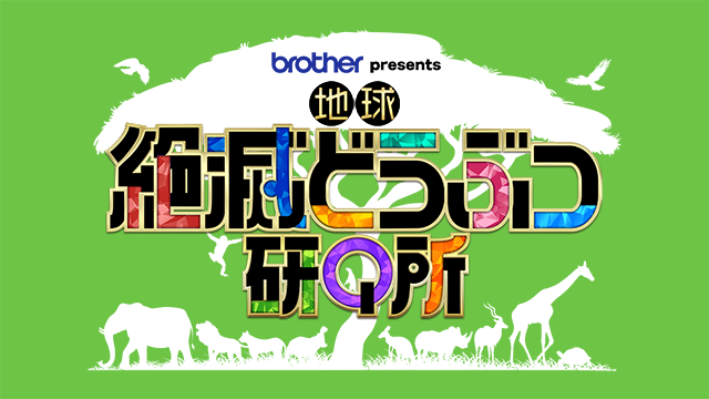 ブラザーpresents 地球 絶滅どうぶつ研Q所