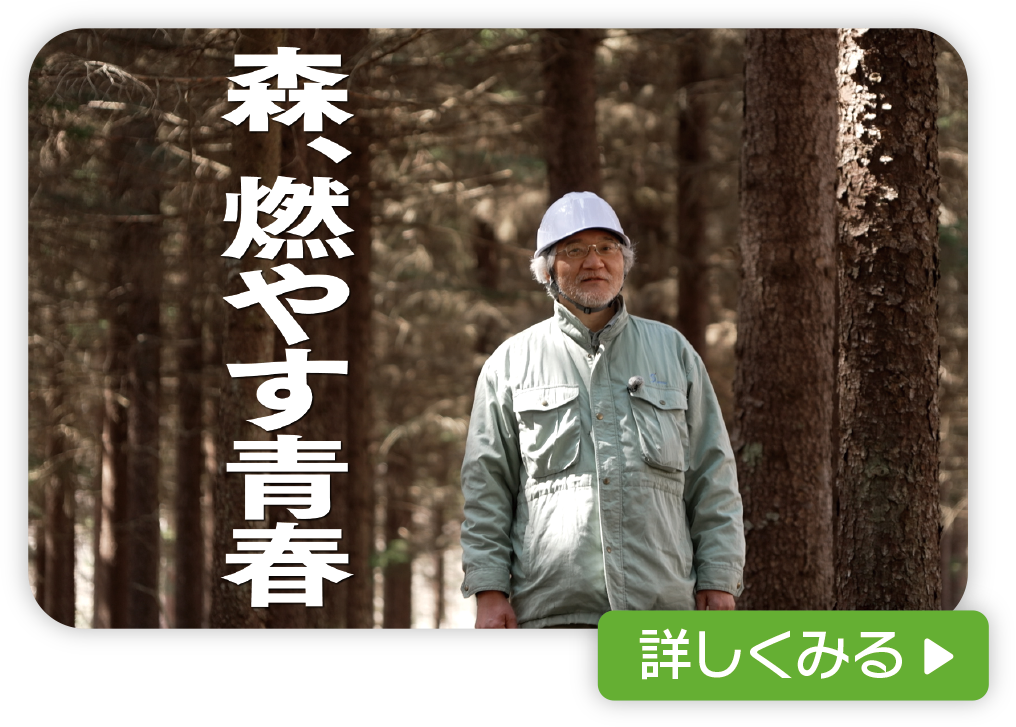 森、燃やす青春