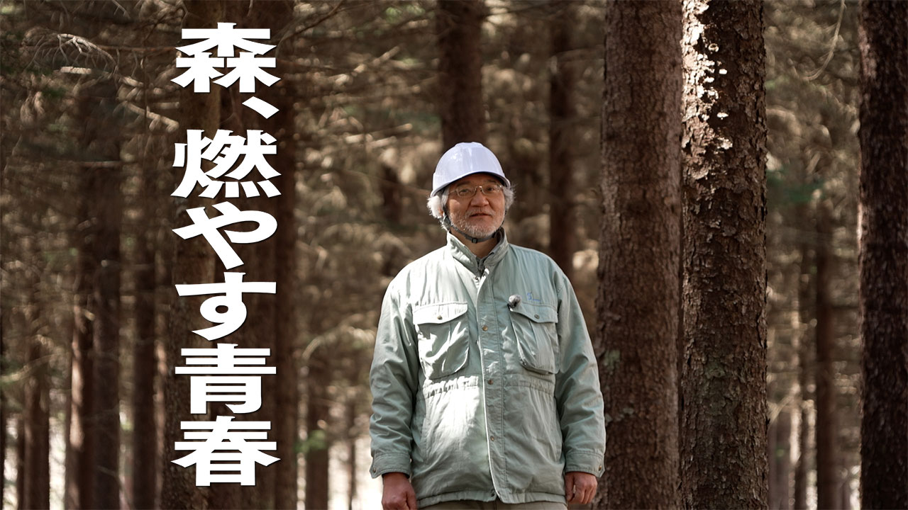 中京テレビ GO GO GREEN特別番組『森、燃やす青春』